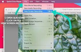 How To Stop Screen Record On Mac